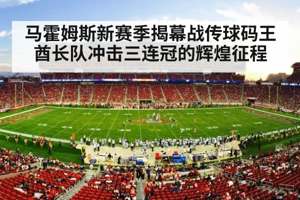 NFL football stadium crowd