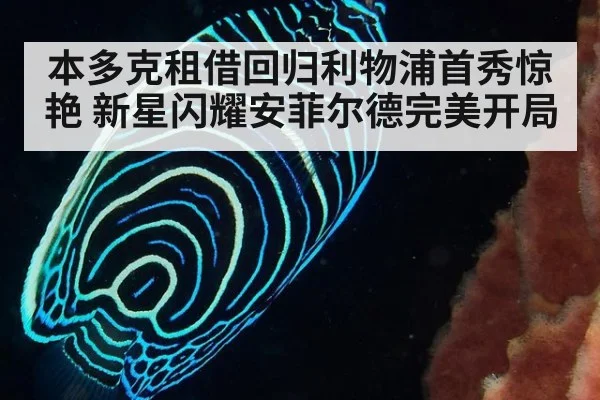 本多克租借回归利物浦首秀惊艳 新星闪耀安菲尔德完美开局